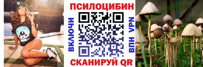 мега зеркало  Ядрин  Псилоцибиновые грибы Psilocybine cubensis  где купить  