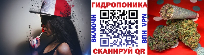 hydra вход  Ядрин  Канабис планчик 